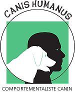 Dresseur pour chiens La Rochelle Rochefort comportementaliste pour chiots et chiens